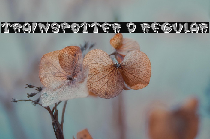 Trainspotter 3D Regular Example 3