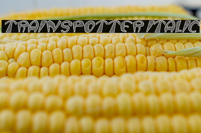 Trainspotter Italic Example 2