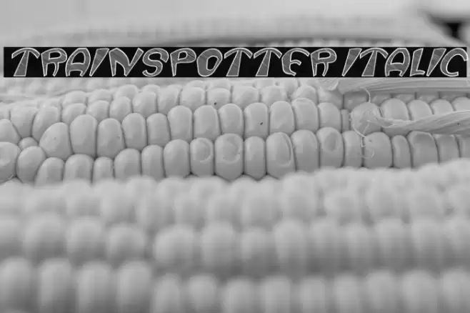 Trainspotter Italic Font examples
