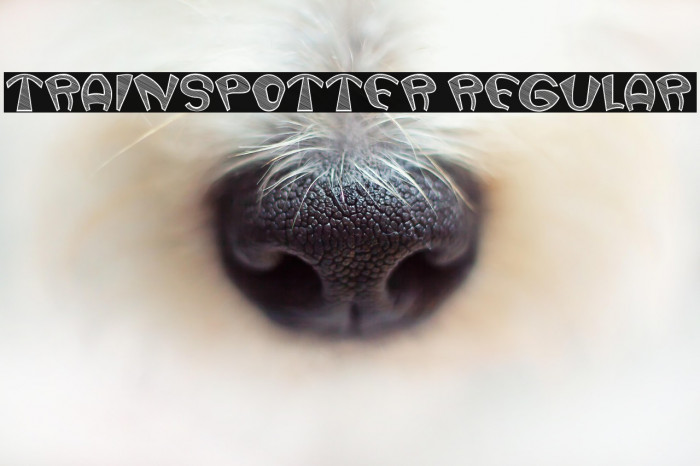 Trainspotter Regular Example 1