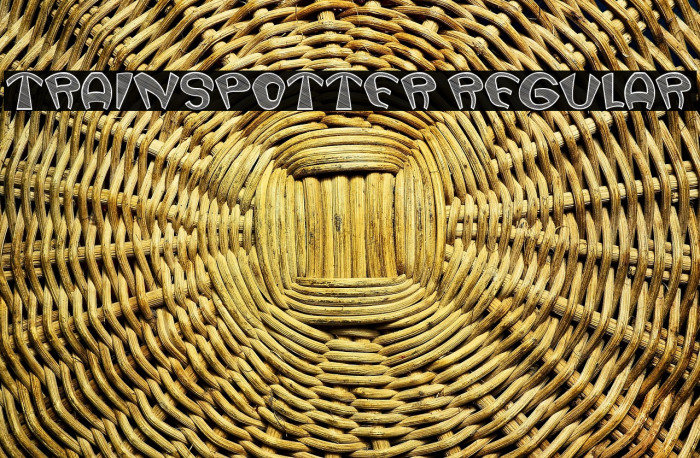 Trainspotter Regular Example 3