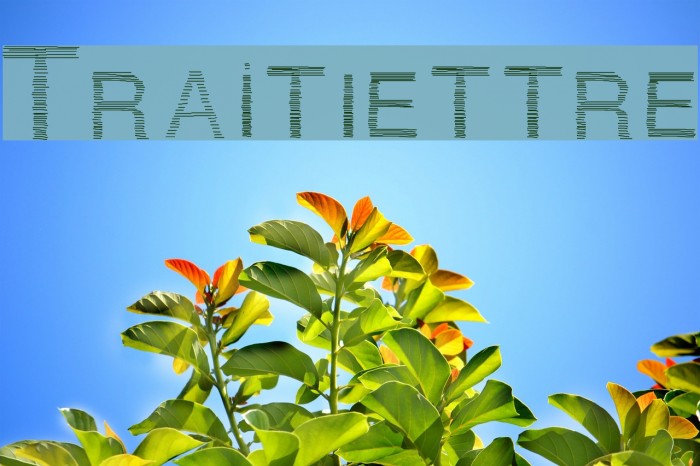 Traitlettre Font examples