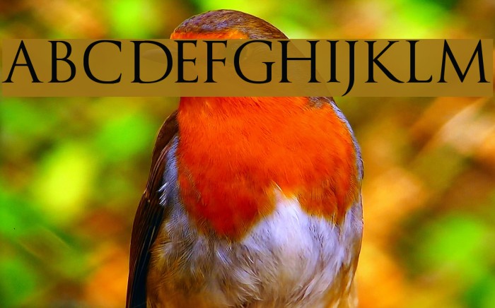 Trajanus Roman Example 3