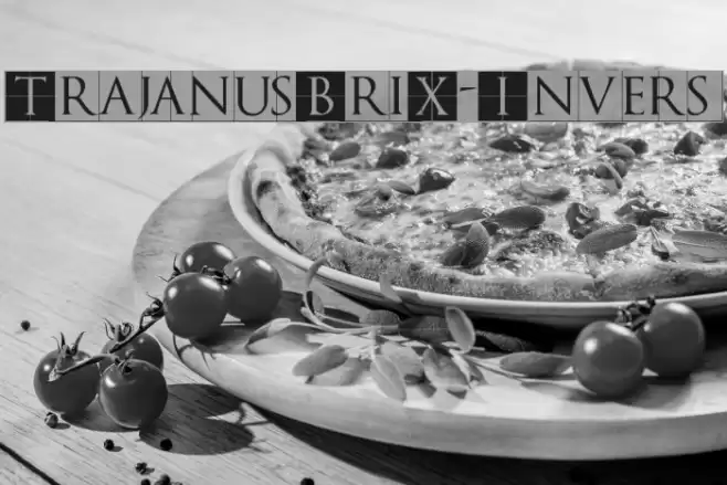 TrajanusBriX-Invers Font examples