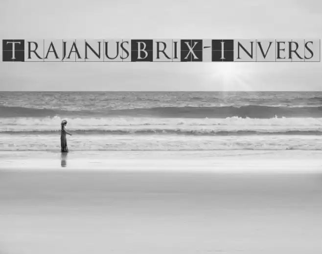TrajanusBriX-Invers Font examples