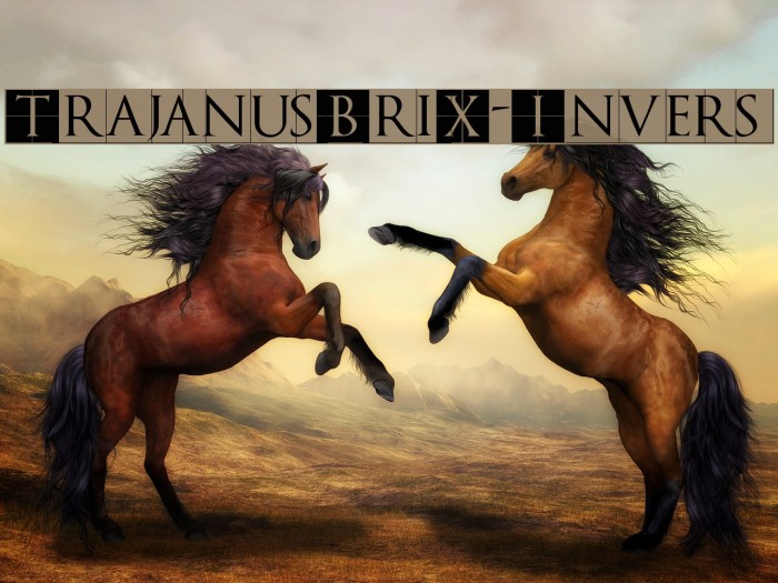 TrajanusBriX-Invers Font examples