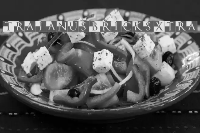 TrajanusBricksXtra Font examples