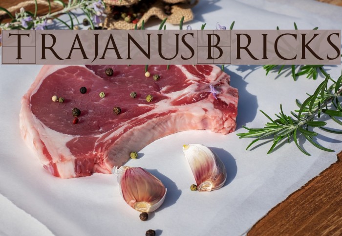 TrajanusBricks Font examples