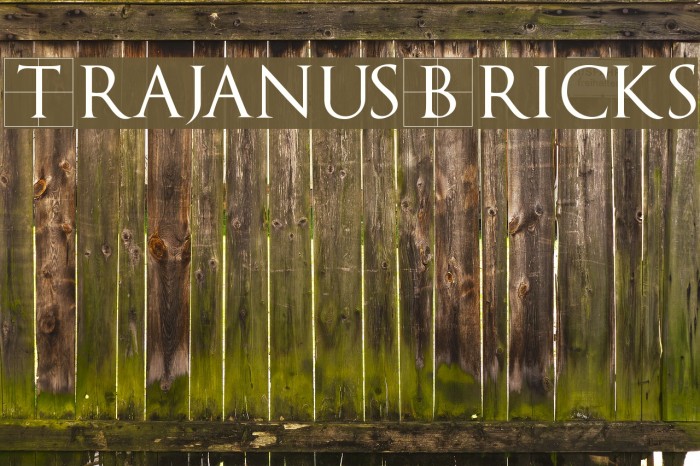 TrajanusBricks Font examples