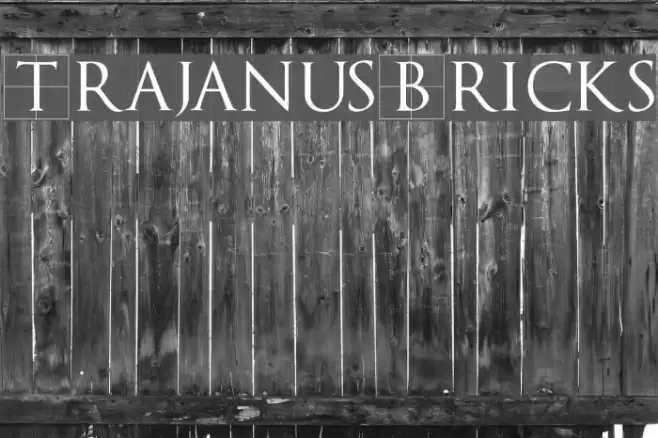 TrajanusBricks フォント examples