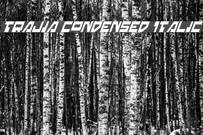Trajia Condensed Italic Font examples
