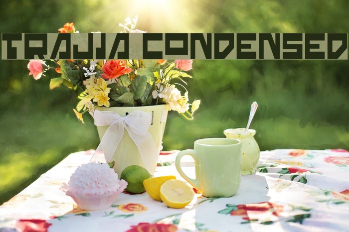 Trajia Condensed Шрифта examples