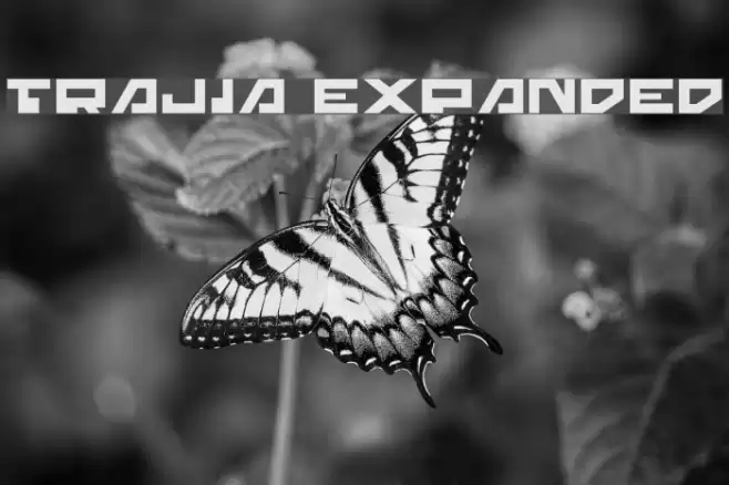 Trajia Expanded Caratteri examples