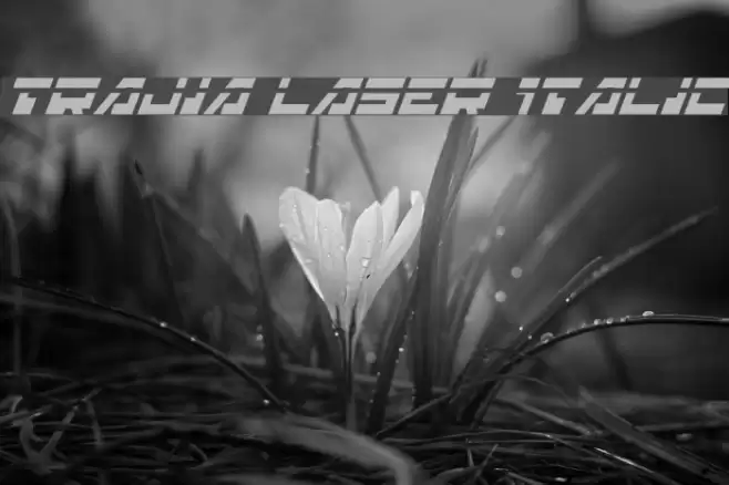 Trajia Laser Italic Шрифта examples