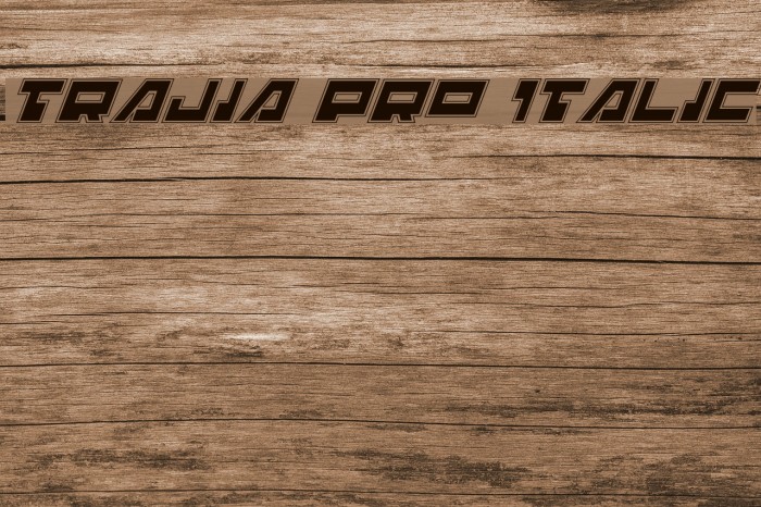 Trajia Pro Italic Font examples