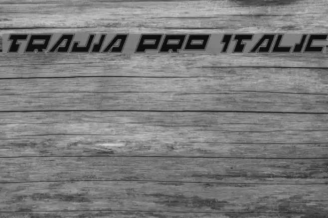 Trajia Pro Italic Schriftart examples