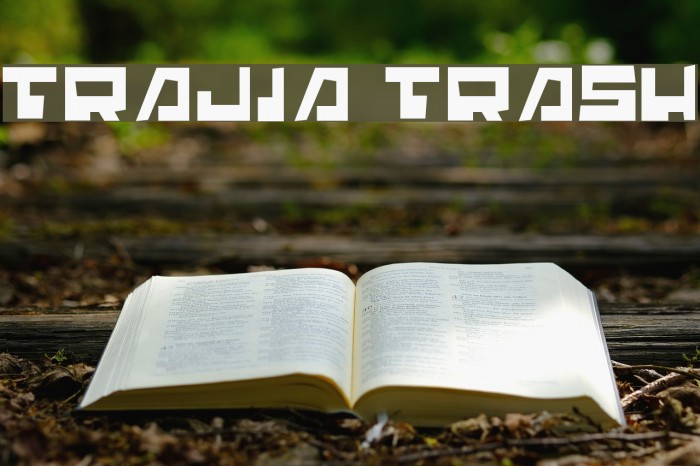 Trajia Trash Font examples