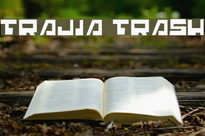 Trajia Trash Example 2