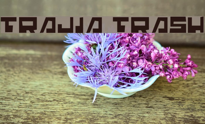 Trajia Trash Font examples