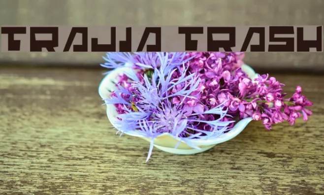 Trajia Trash Example 3