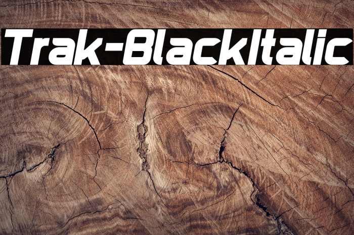 Trak-BlackItalic Example 1