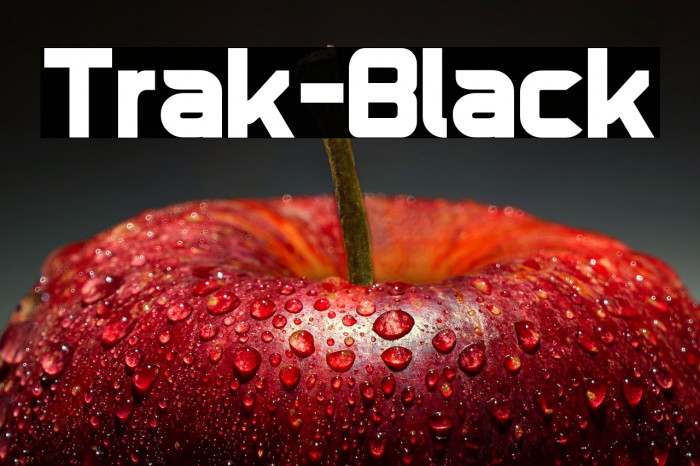 Trak-Black Example 2