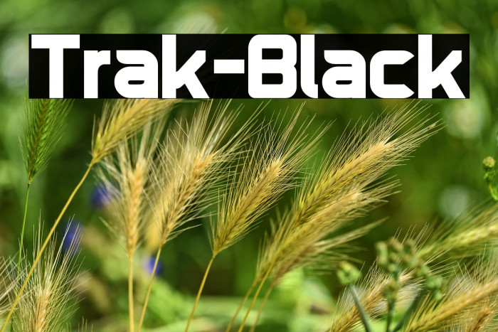 Trak-Black Example 3