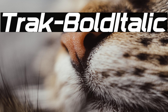 Trak-BoldItalic Example 1