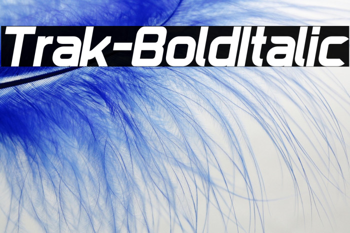 Trak-BoldItalic Example 3