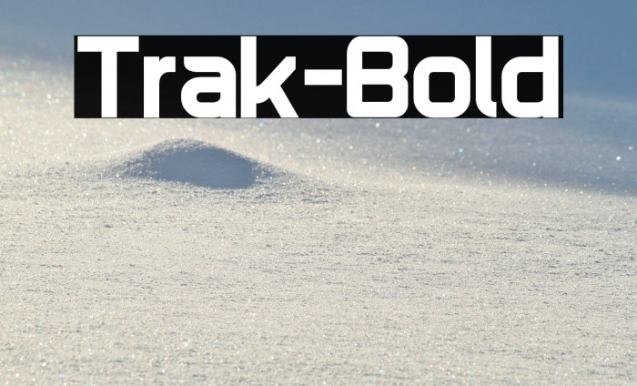 Trak-Bold Example 2