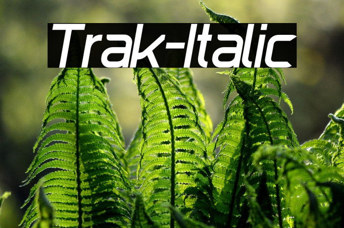 Trak-Italic Example 3