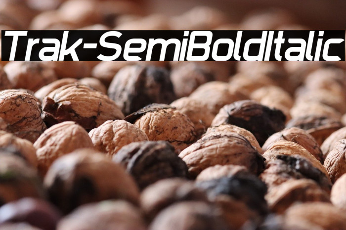 Trak-SemiBoldItalic Example 1