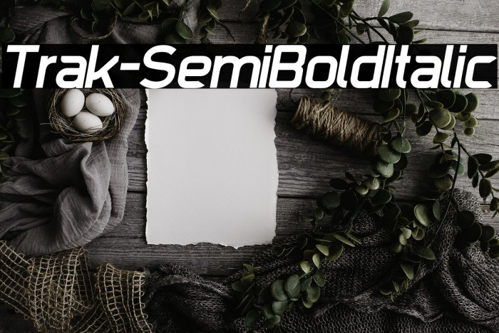 Trak-SemiBoldItalic Example 2