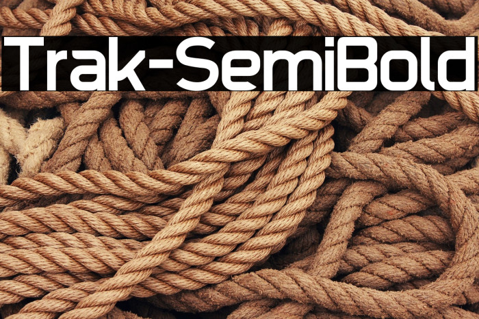 Trak-SemiBold Example 3