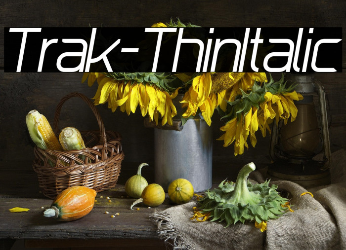 Trak-ThinItalic Example 2