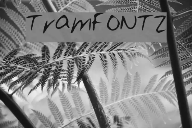 Tram_FONT_2 Font examples