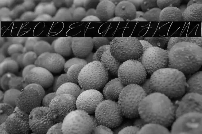 Tramelly Font examples