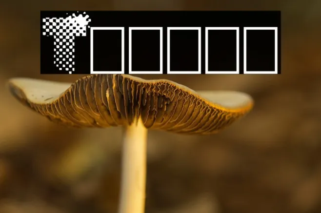 Tramix Example 3