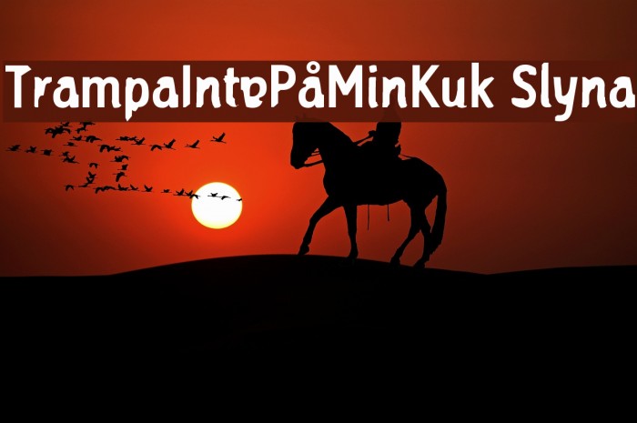 TrampaIntePåMinKuk Slyna Font examples