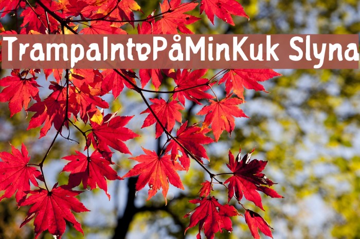 TrampaIntePåMinKuk Slyna Font examples