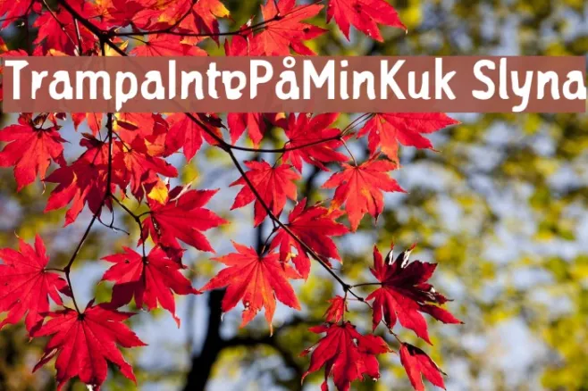 TrampaIntePåMinKuk Slyna Example 2