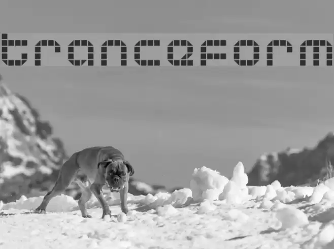 Tranceform Font examples