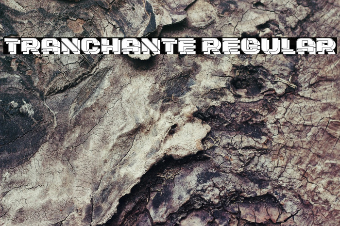 Tranchante Regular Example 1