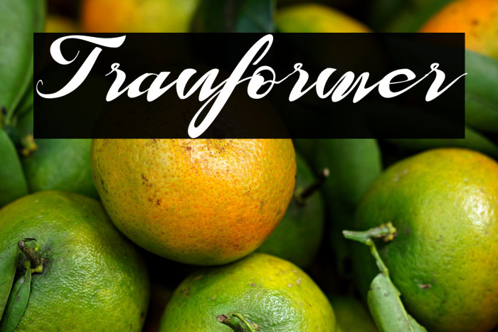 Tranformer Example 2