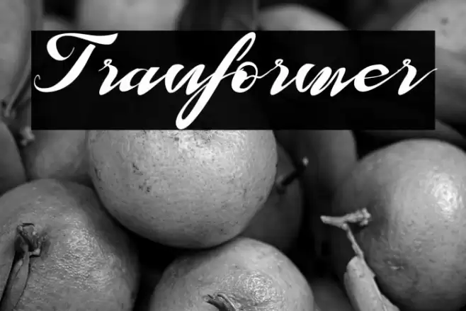 Tranformer Font examples