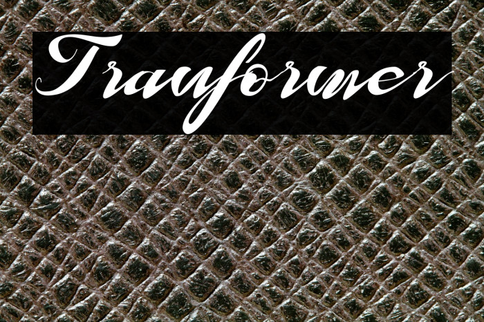 Tranformer Example 3