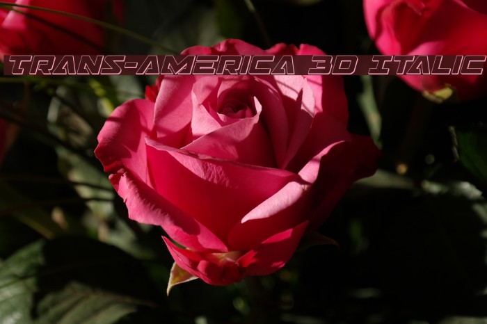 Trans-America 3D Italic Font examples