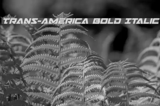 Trans-America Bold Italic Font examples