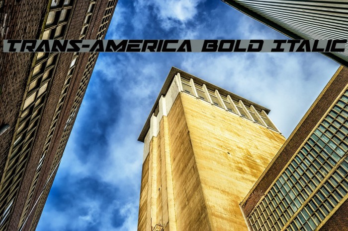 Trans-America Bold Italic Font examples