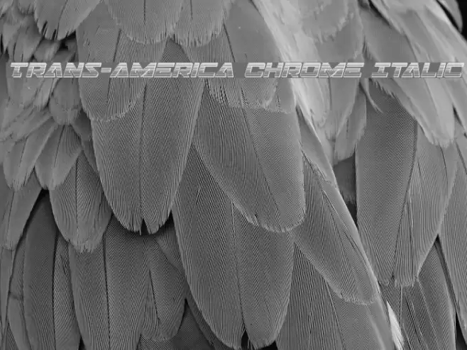 Trans-America Chrome Italic Font examples